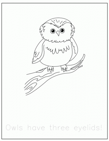 FREE} Forest Animals Coloring Pages with Traceable Fun Facts ...