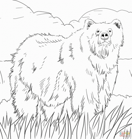 Woodland Animals Coloring Pages Free Printable Pictures Alaska ...