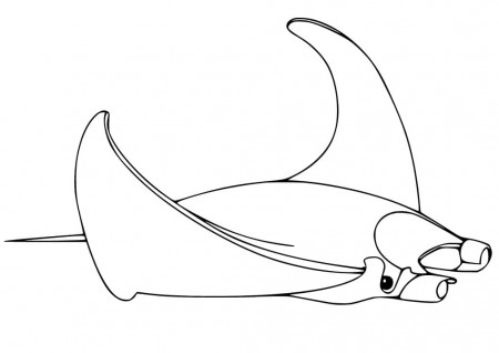 Manta Ray Swims Coloring Page - Free Printable Coloring Pages for Kids