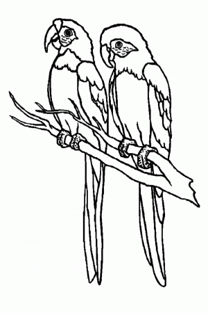 Love Birds Meet in the Sky Coloring Pages: Love Birds Meet in the ...