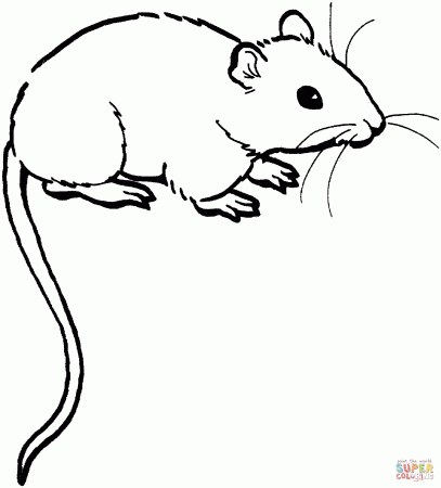 Mouse 1 coloring page | Free Printable Coloring Pages