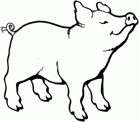 Printable Pig Face Coloring Page - High Quality Coloring Pages