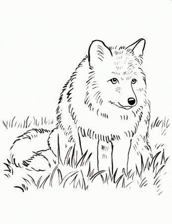 Fox Coloring Page - Samantha Bell