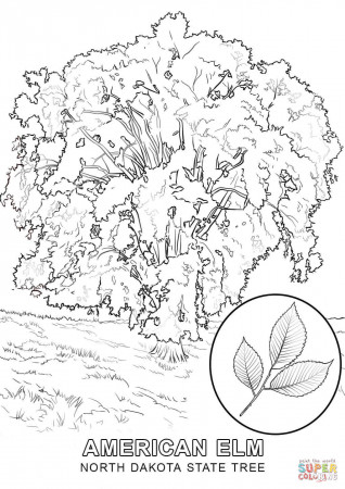 Pagecoloring.us – Page 273 – Kids Coloring Page Printable
