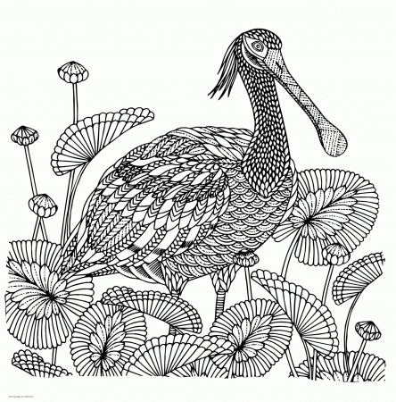 Coloring Pages : Detailed Bird Coloring Page Pages Printable Com Geometric  For Adults To Print Detailed Coloring Pages ~ Off-The Wall ATL
