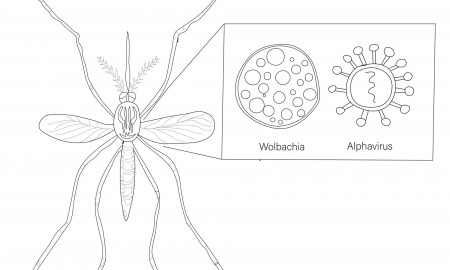 Microbiology Coloring Pages – Science Fest