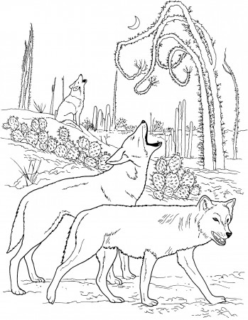 Wolf Coloring Pages to Print | 101 Coloring