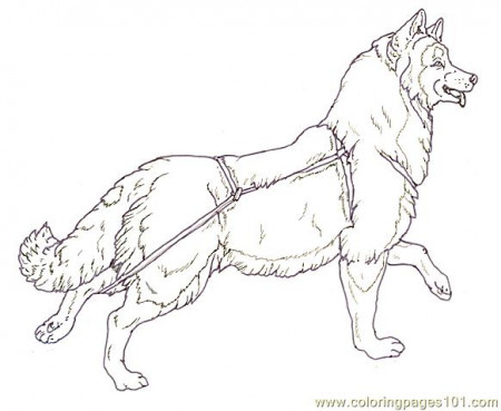 Mural Tsb Sled Dog Running Head Up Coloring Page for Kids - Free Dog  Printable Coloring Pages Online for Kids - ColoringPages101.com | Coloring  Pages for Kids