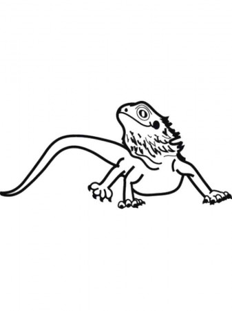 Bearded Dragon coloring pages