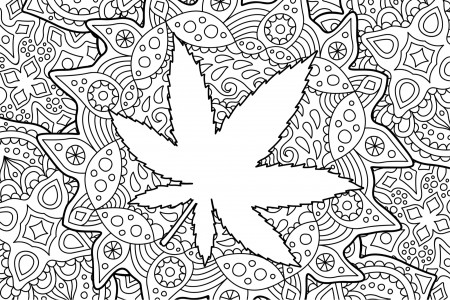 Top 5 Cannabis Coloring Books for the Artistic Stoner | Leafbuyer