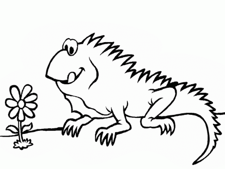 Iguana-coloring-pages-19 | Free Coloring Page Site