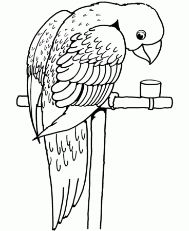 smiley parrot coloring page for kids - Coloring Point
