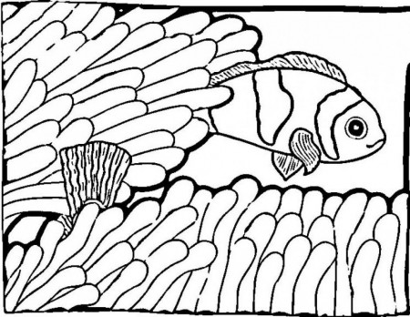 Clown Fish Coloring Page Coloring Pages Amp Pictures IMAGIXS 