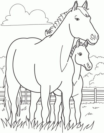 horses and baby horse Colouring Pages