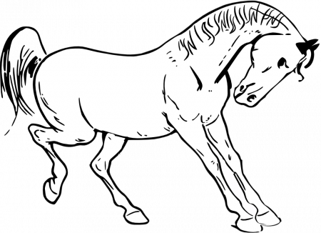 OnlineLabels Clip Art - Prancing Horse Outline