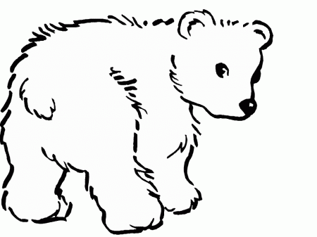 polar bear cub Colouring Pages