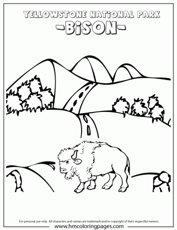 Bison At Yellowstone Park In Wyoming Coloring Page | Free 