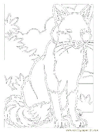 Woods Coloring Pages