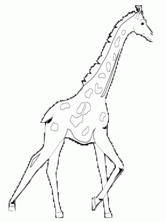 Free Giraffe Coloring Pages Realistic | Laptopezine.