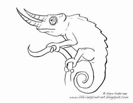 Clipart Outlined Chameleon Lizard Royalty Free Vector 266113 