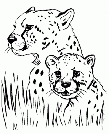 Free Printable Coloring Pages Realistic Animals | Printable 