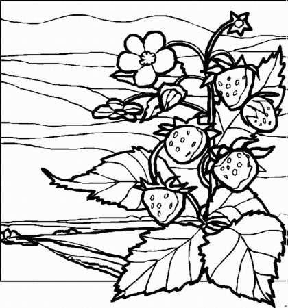 lanscapes Colouring Pages