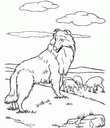 y shepherd Colouring Pages (page 2)