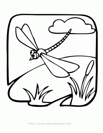 dragonfly printable coloring in pages for kids - number 1383 online