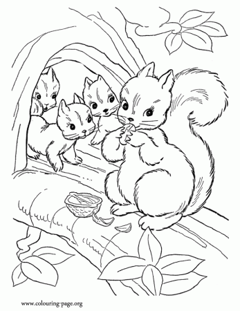 Squirrels - Mommy squirrel and her cubs coloring page