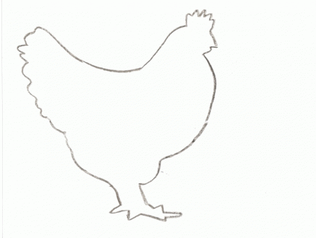 Pix For > Chicken Outline