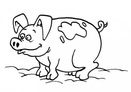 coloring pages of cute pigs : Printable Coloring Sheet ~ Anbu 