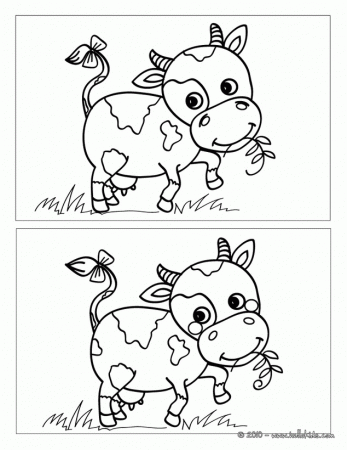 ANIMAL difference games - COW spot the 5 differences game