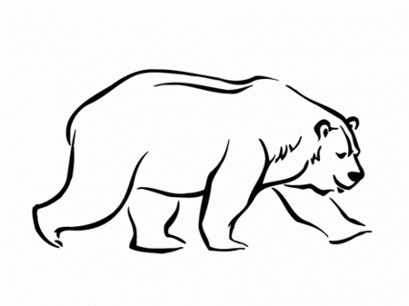 Polar Bear Line Drawing ClipArt Best 256526 Black Bear Coloring Page