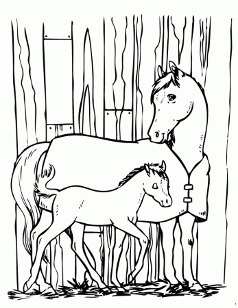 Horse And Pony Coloring Page | Free Printable Coloring Pages