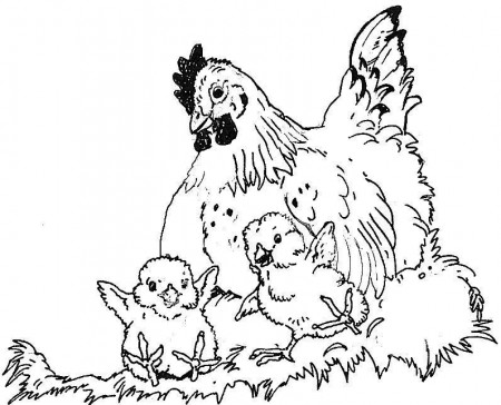 hen on a nest Colouring Pages (page 3)