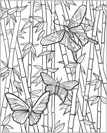 EXPOSE HOMELESSNESS: COLORING BOOK BUTTERFLY (2) FOR OUR HOMELESS 