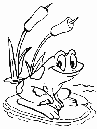 Printable Frogs 26 Animals Coloring Pages - Coloringpagebook.com