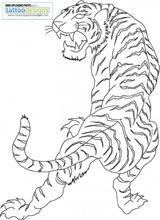 Tiger Tattoo Flash | eyecatchingtattoos.