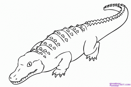 Crocodile Coloring Pages Saltwater Crocodile Coloring Pages 157454 