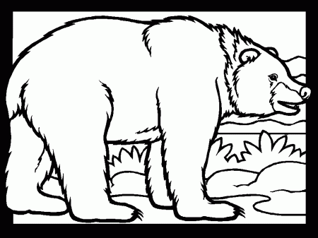 Printable Bears Color Bear Animals Coloring Pages 