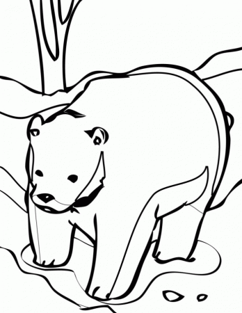 bear coloring pages printable - Quoteko.com