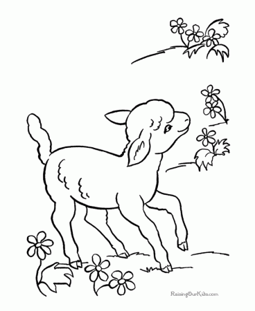 Lamb page to color - 015