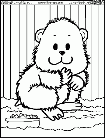 hamster cages Colouring Pages