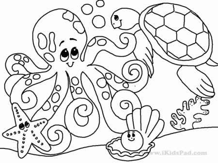 Jungle Animals Coloring Pages Rain Forest The Coloring Rainforest 