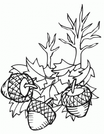 Excelent Fall Coloring Pages 2013 | Printable Coloring Pages
