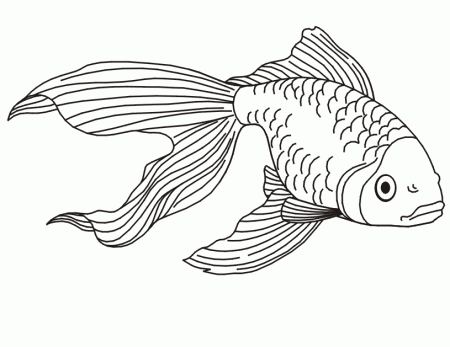 Betta Fish Coloring Page | Animal Coloring Pages | Kids Coloring 