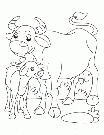 Buffalo and Calf coloring page | Download Free Buffalo and Calf 