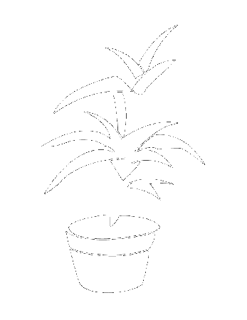 p plant Colouring Pages