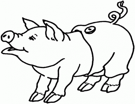 baby animals coloring pages free | Coloring Picture HD For Kids 