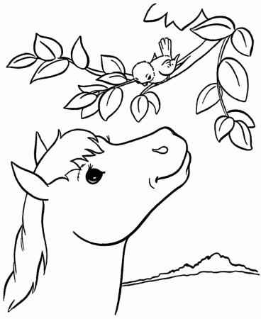 Farm Horse Coloring Page - smilecoloring.com